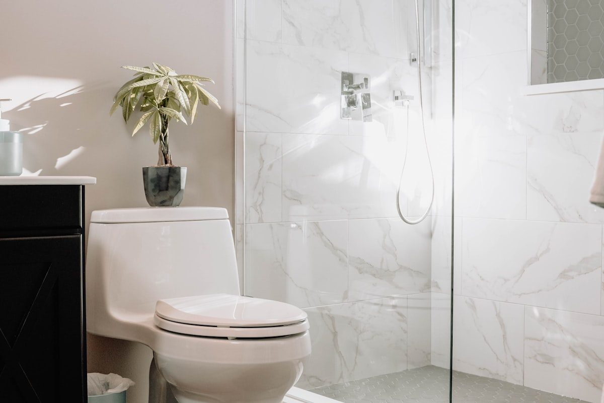 Toilet repair in a Las Vegas bathroom